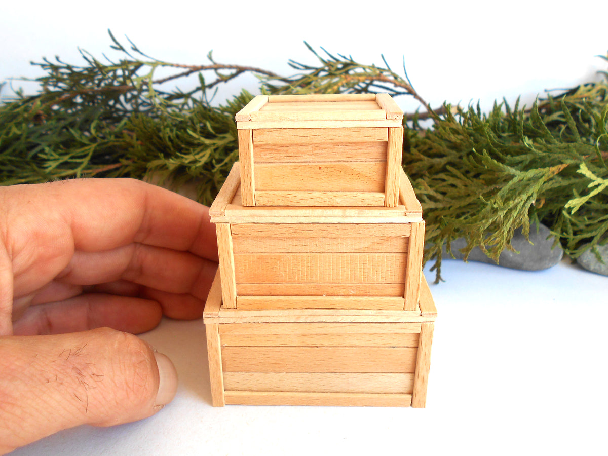 Three small stacked wooden crates or boxes made of light natural wood, shown with a person's hand holding them for scale against a white background with greenery.