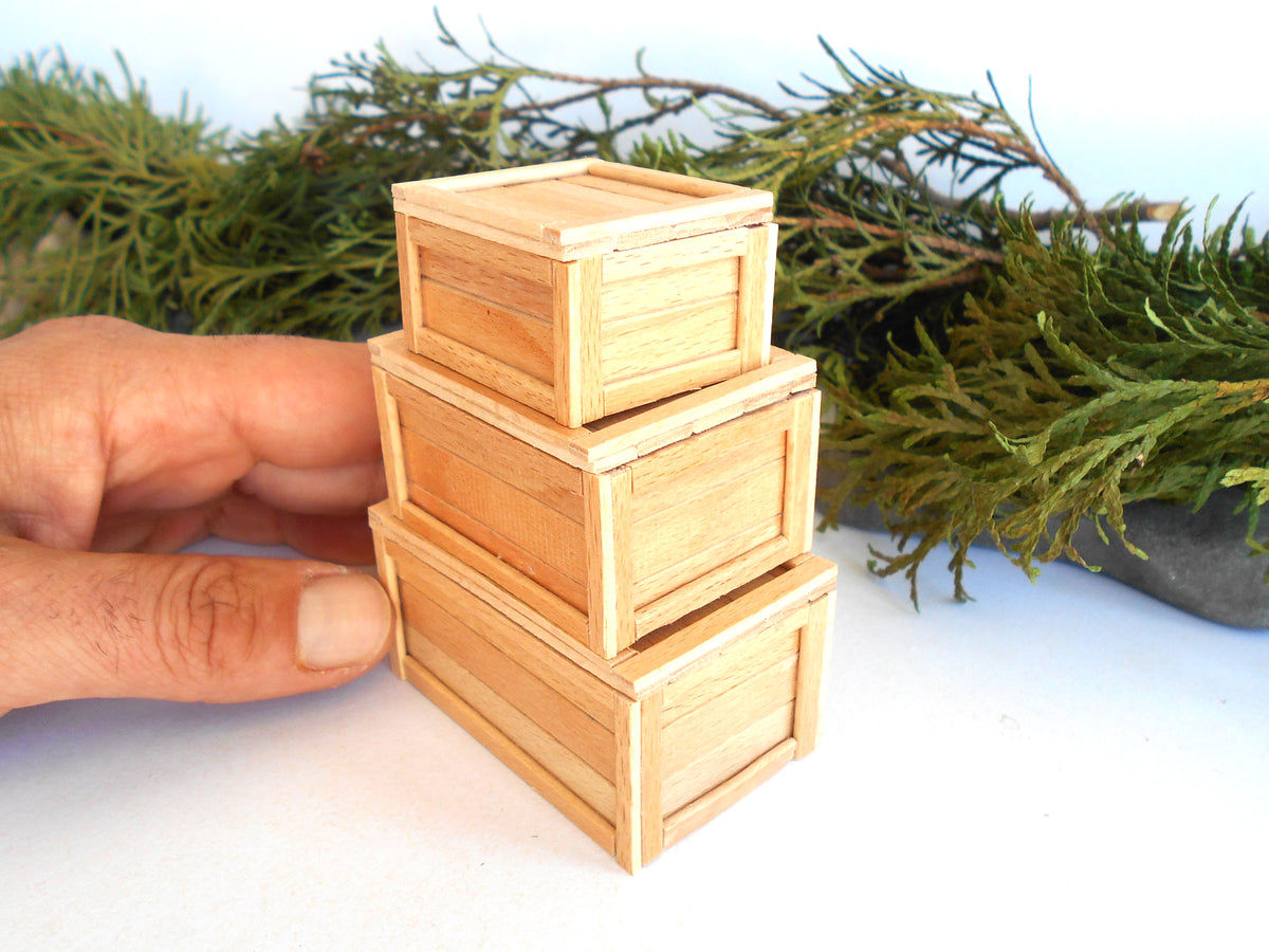 Three small stacked wooden crates in a natural light wood finish, held by a hand to show scale against a white background with green foliage.