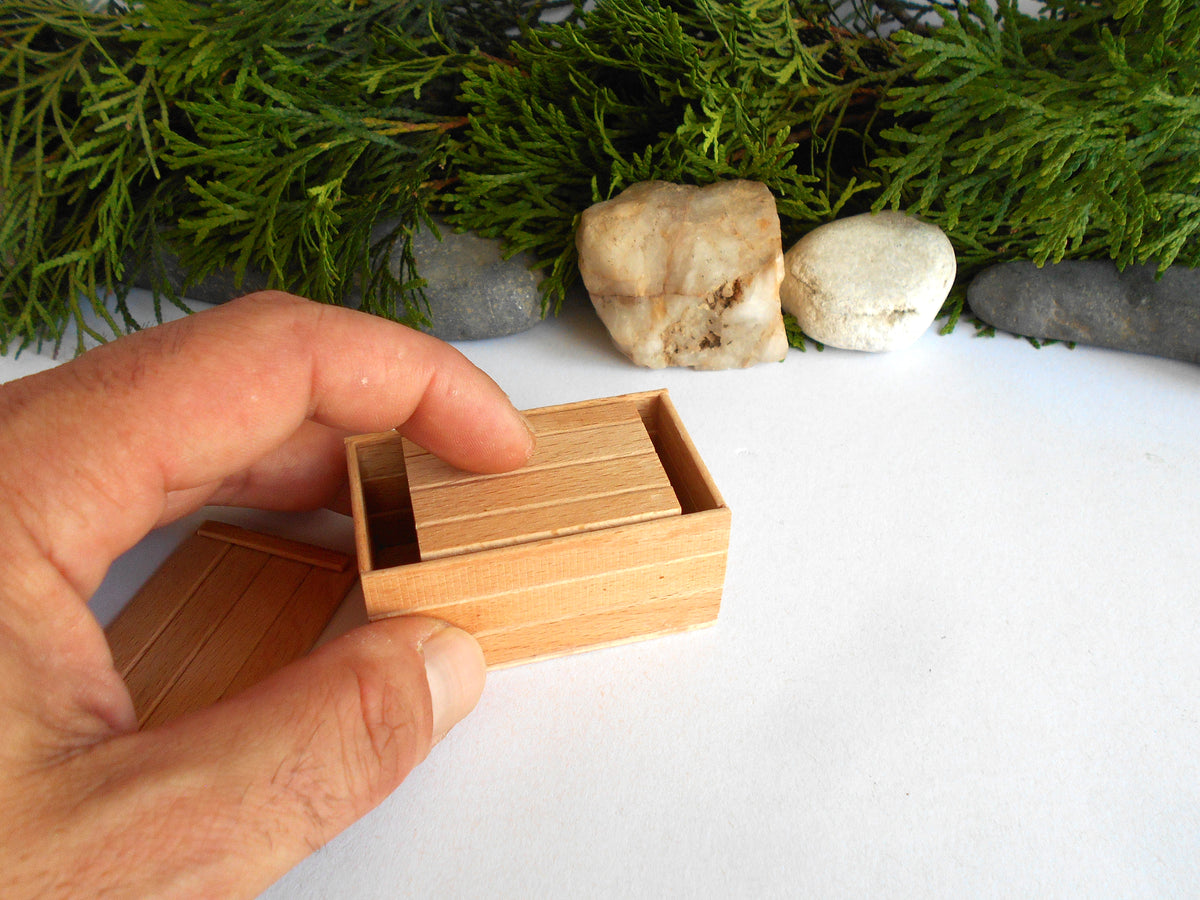 A hand holding a small wooden box with a matching lid, photographed on a white surface with green foliage and small stones in the background.