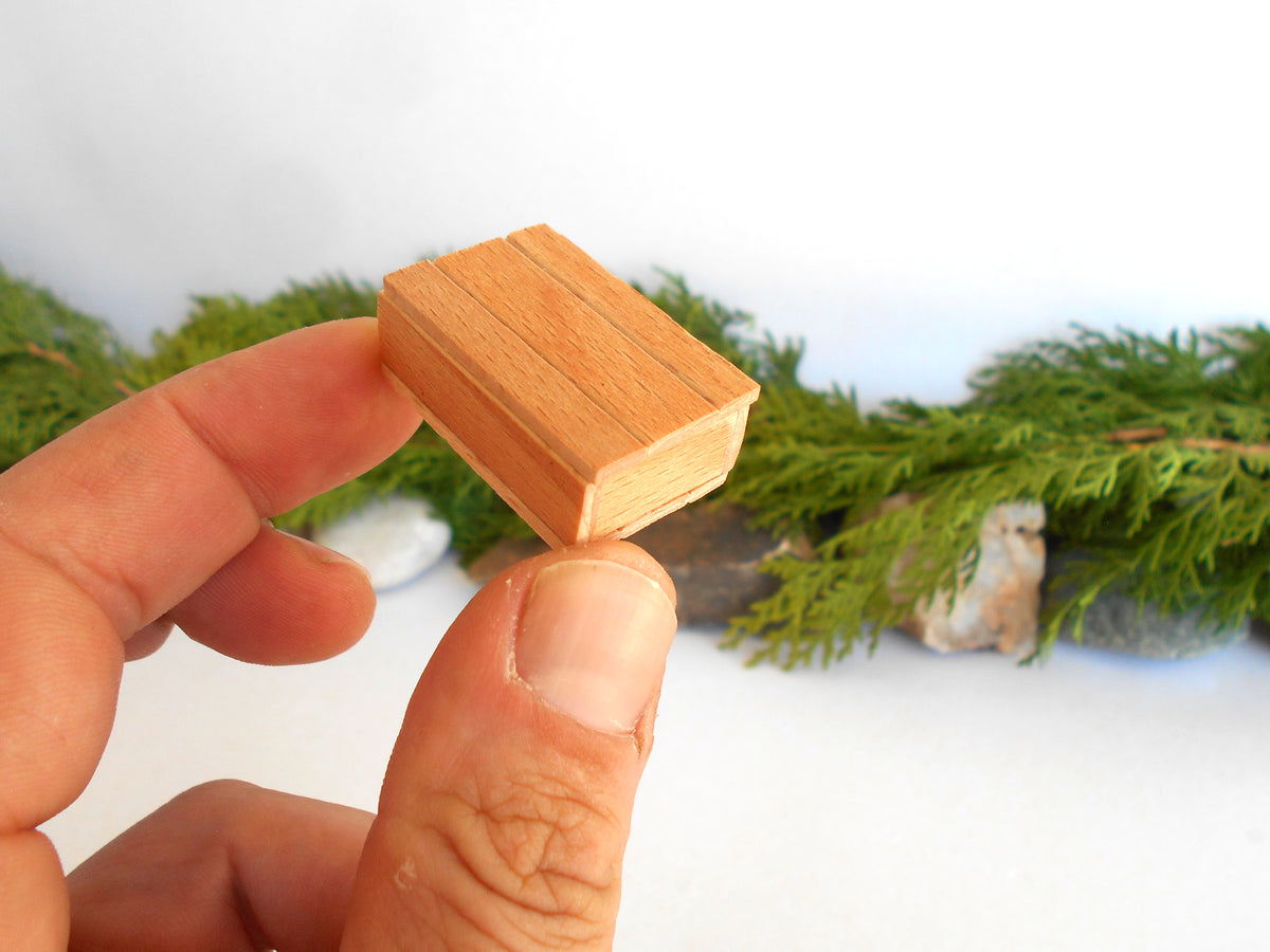 A hand holding a small, rectangular, light brown wooden miniature box or miniature box against a white background with blurred green foliage.