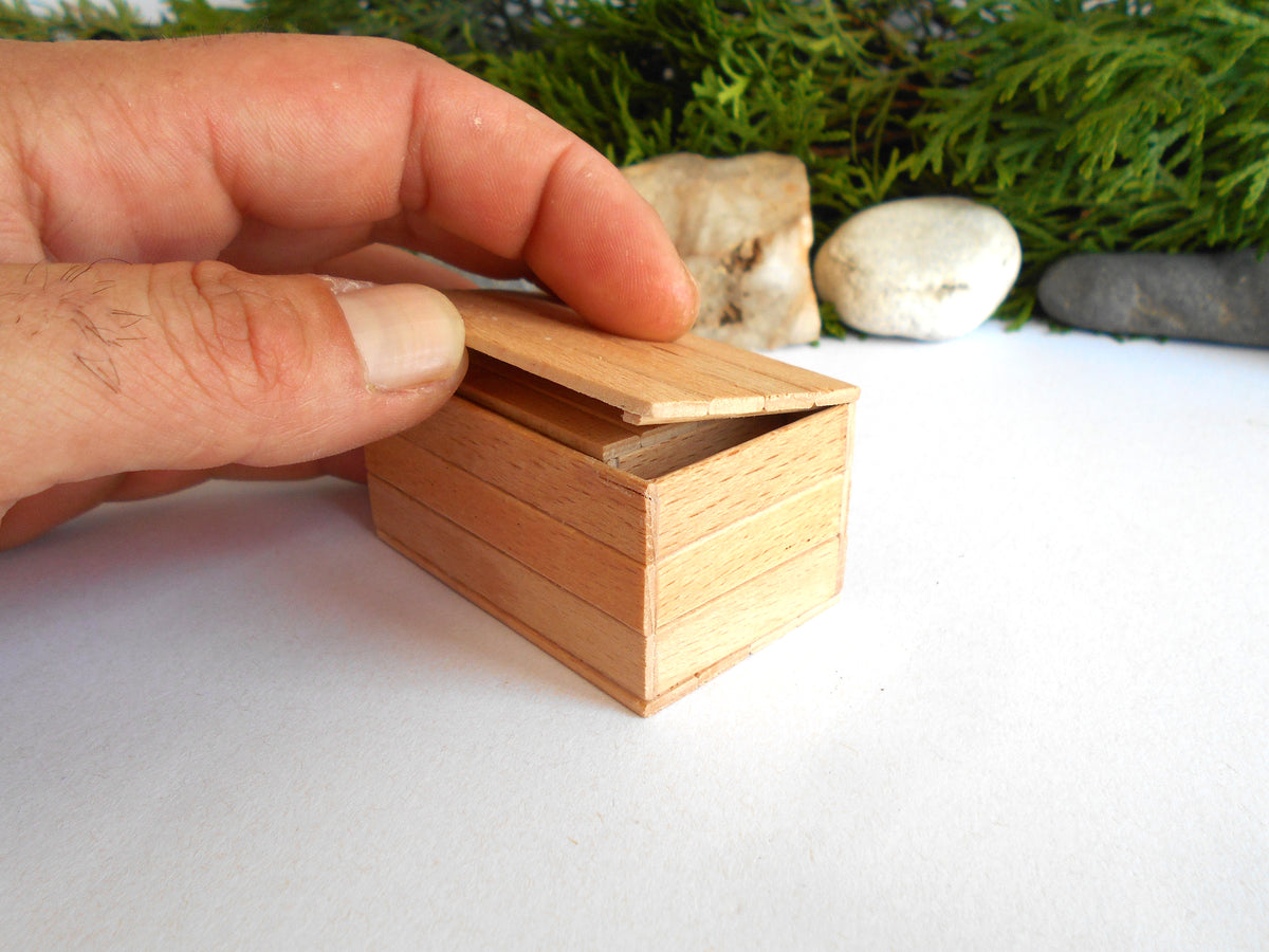 A close-up of a hand holding the open lid of a small, light-colored wooden box on a white surface with decorative moss and stones in the background.
