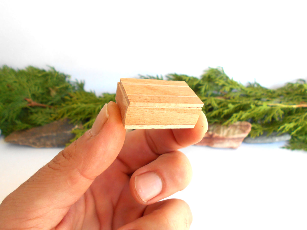 A hand holding a small, unfinished light wood miniature box or miniature box with a visible grain pattern, set against a white background with blurred green foliage.