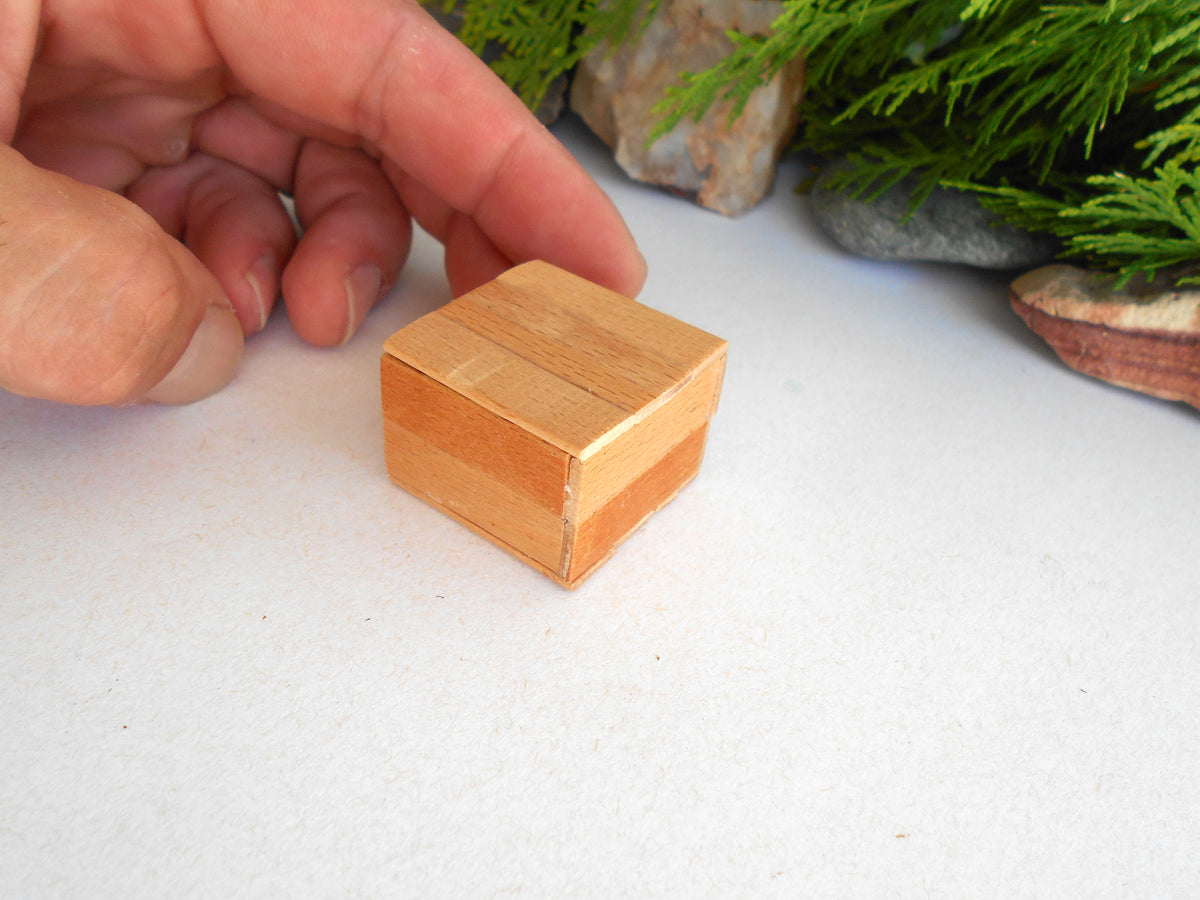 A small handcrafted wooden box with a split top, held by a person's hand on a white surface with decorative plants in the background.