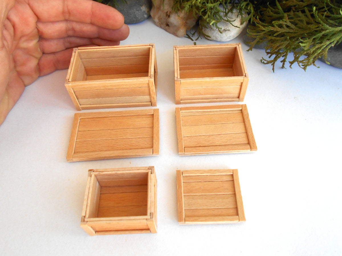 Six miniature light wood boxes and trays arranged on a white surface, with a hand visible at the top left for scale and small plants in the background.