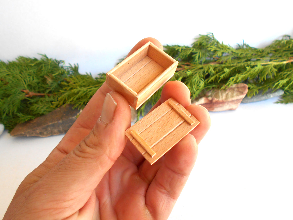 A hand holding two miniature light wood miniature box  shown against a white background with green foliage props.