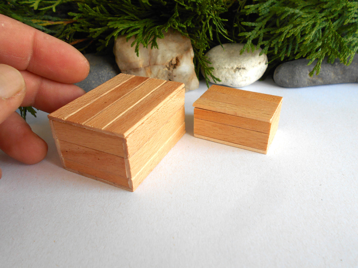 Two small unfinished wooden boxes with a light natural wood finish, one larger and one smaller, shown on a white surface with a hand holding the larger box for scale, with green foliage and stones in the background.