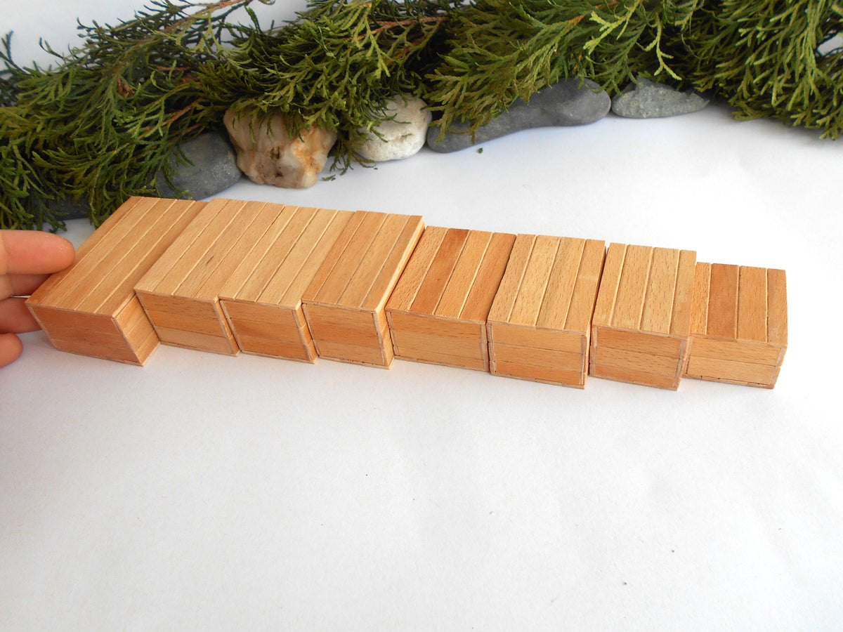 A set of natural wood number boxes arranged in a descending sequence on a white surface, with a hand holding the first block on the left and green foliage in the background.