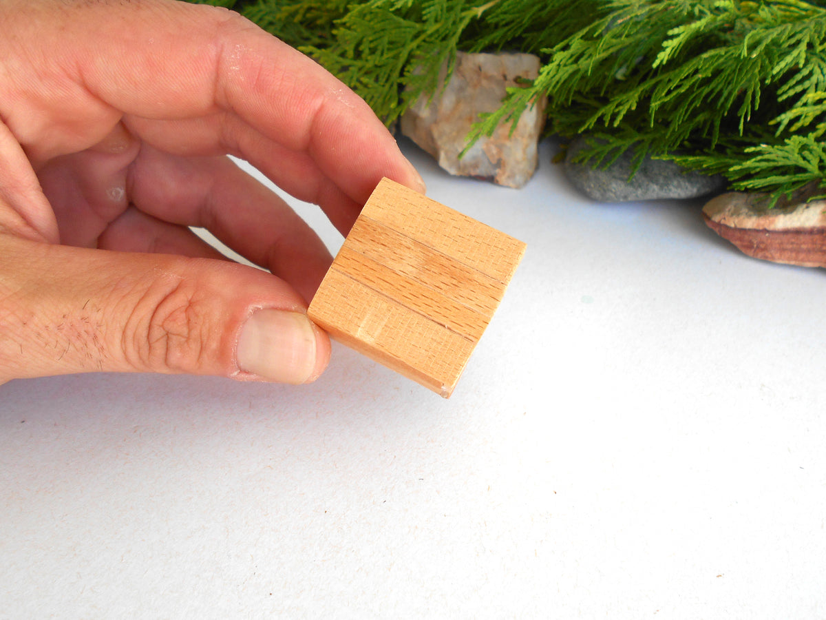 A hand holding a small, unfinished light wood block with visible wood grain, set against a white background with decorative green foliage in the upper right.