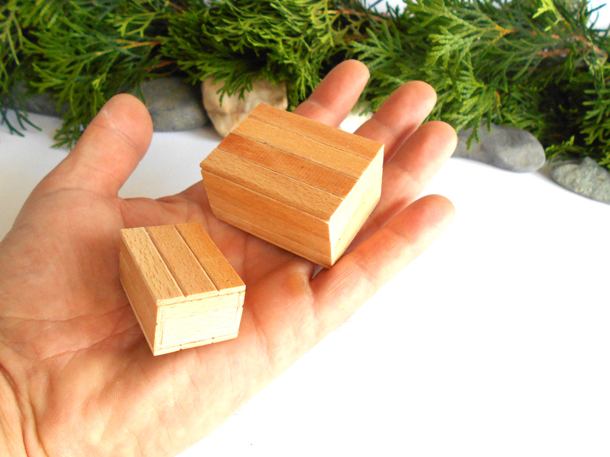 Two small rectangular wooden boxes with a natural light wood grain finish, held in a person's hand against a white background with green foliage and stones in the background.