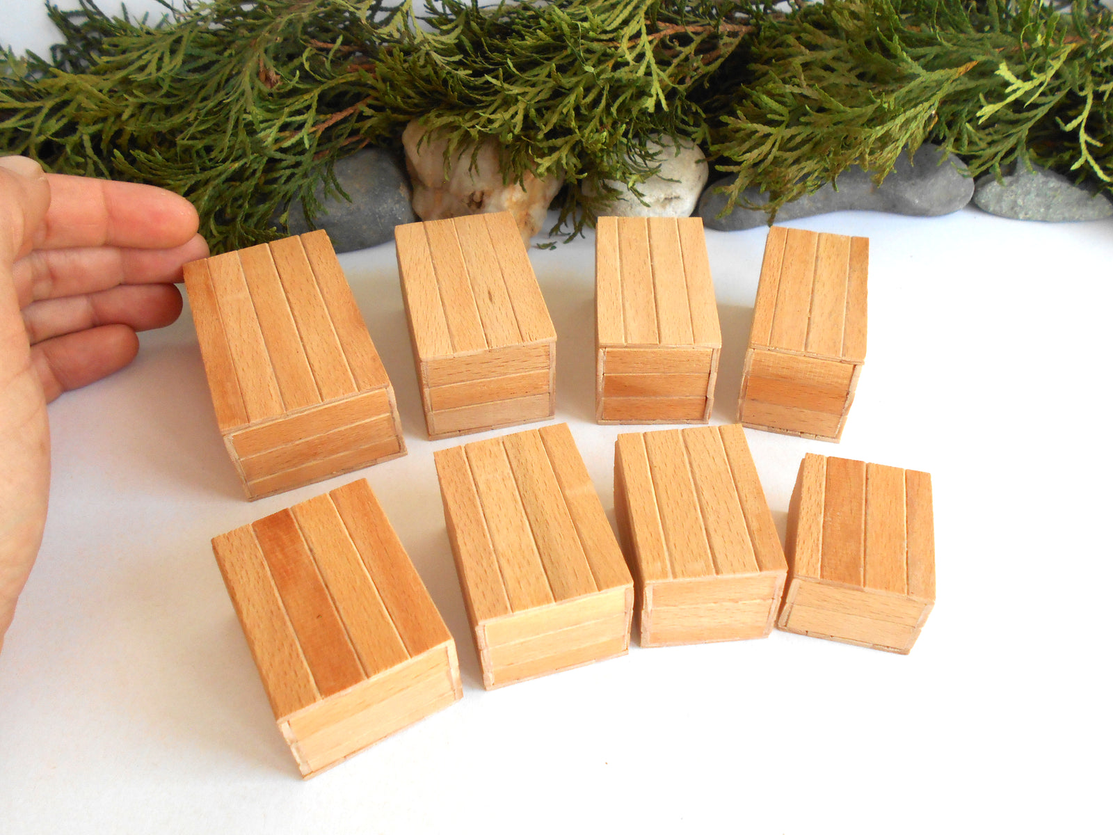 Eight miniature wooden toy boxes arranged on a white surface, with a hand holding one house on the left and green foliage in the background.