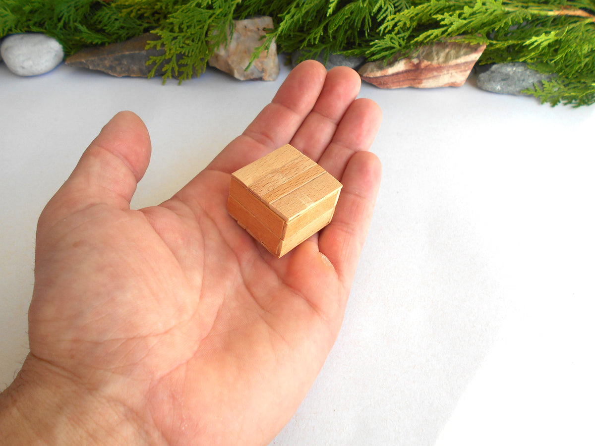 A small square wooden block with visible wood grain, held in the palm of a person's hand against a white background with decorative greenery and stones at the top.