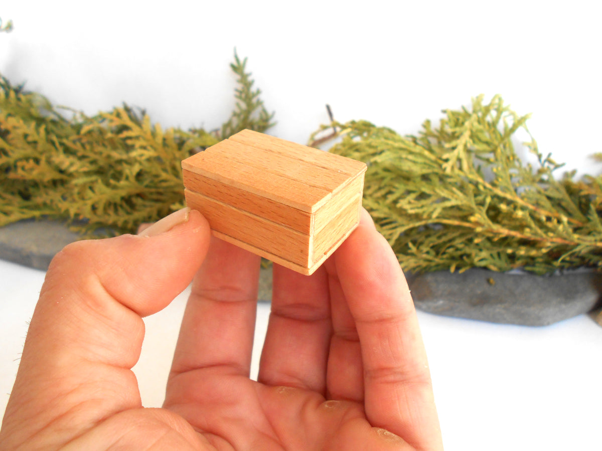 A hand holding a small, square, light-colored wooden box with a lid, set against a white background with blurred green foliage.