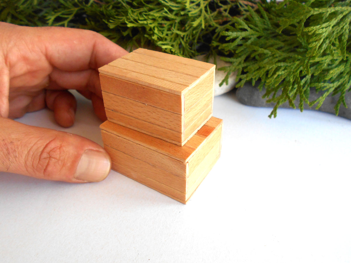 A hand holding two small stacked wooden blocks with a white surface and green foliage in the background.