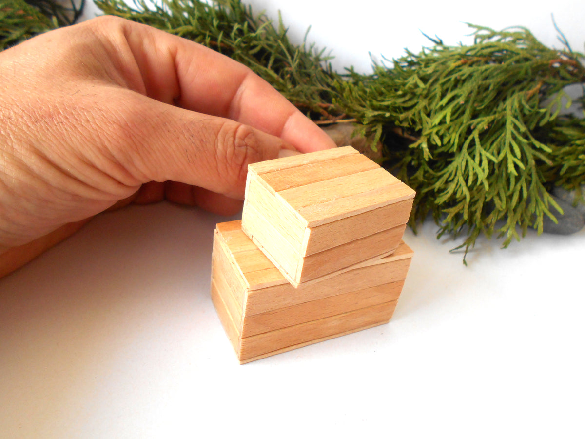 A hand holding a small stack of unfinished light wood blocks, with green foliage in the background on a white surface.