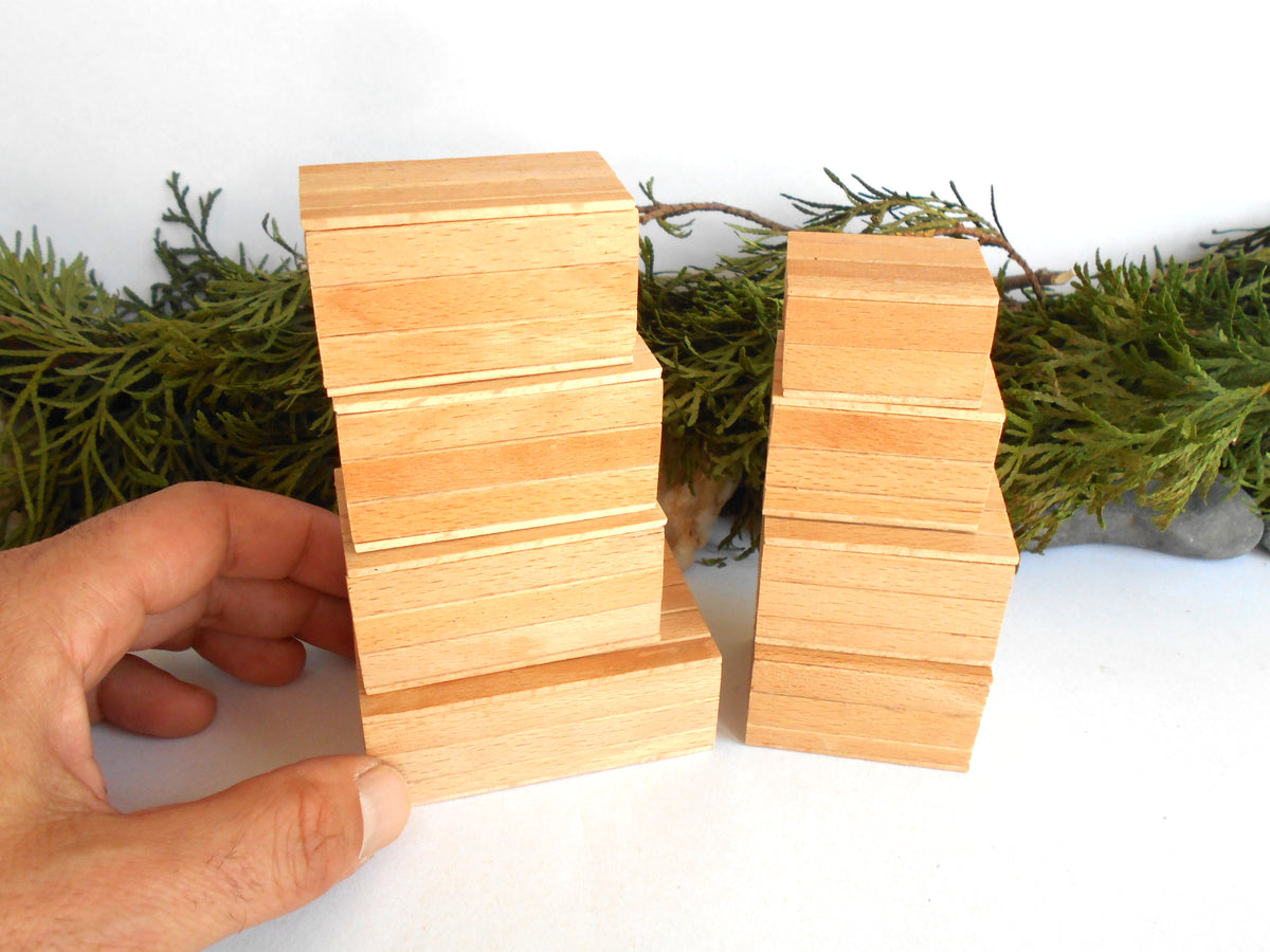 A hand holds a stack of light natural wood boxes next to another stack of matching wooden blocks, with green foliage and a white background.