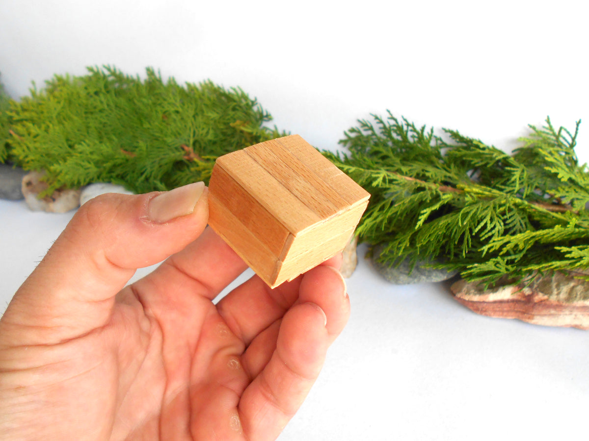 A hand holding a small, unfinished light wood cube, with green foliage and rocks in the blurred background.