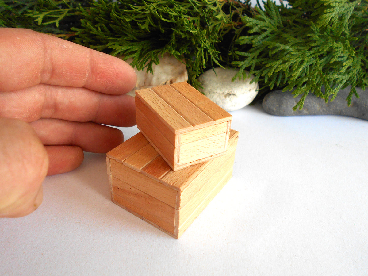 A close-up of a hand holding a miniature wooden box next to a larger matching wooden box, with green foliage and small stones in the background.