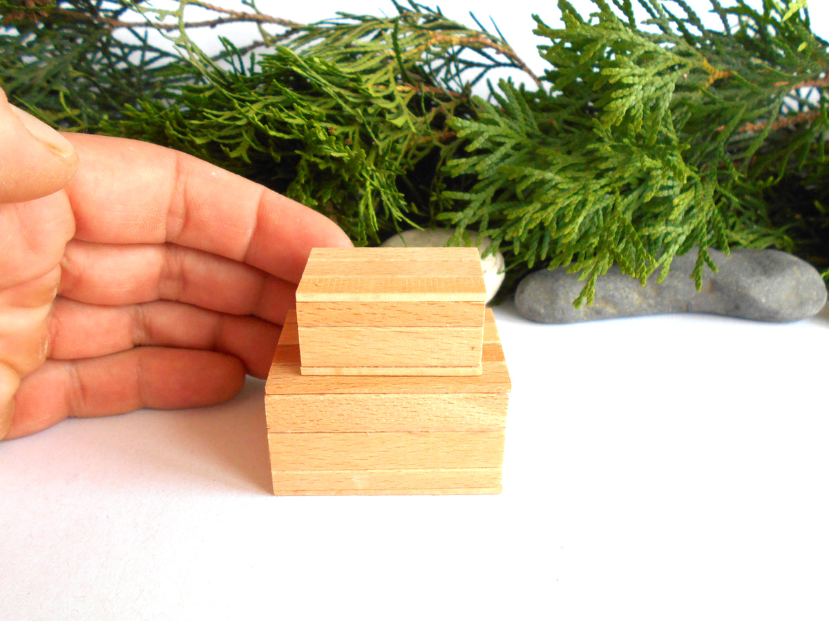 A hand holding a small stack of two unfinished light wood blocks, with green pine branches and gray stones in the background on a white surface.