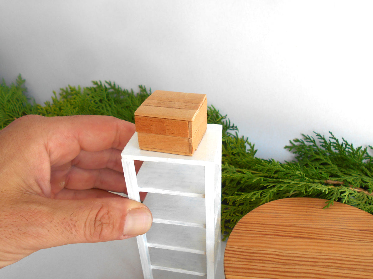 A hand holding a miniature white shelving unit with a small wooden box on top, set against a background of green foliage and a light gray wall.