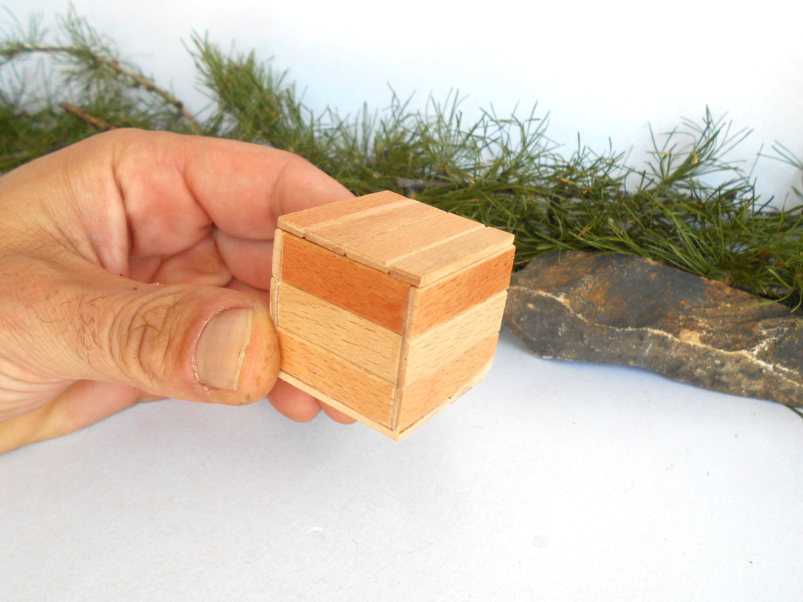A hand holding a small, handcrafted wooden box made of multiple natural wood tones, set against a white background with pine branches and a rock prop.