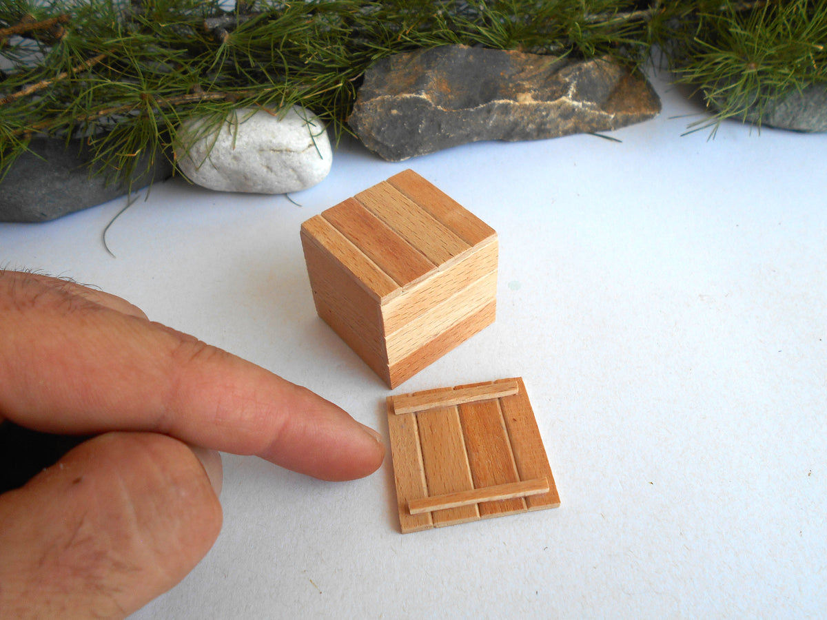 A close-up of a hand pointing toward two miniature wooden boxes or tiles on a white surface, with small rocks and greenery in the background.