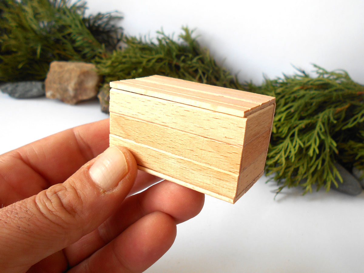 A hand holding a small, light-colored wooden box with a lid, set against a white background with blurred green foliage.