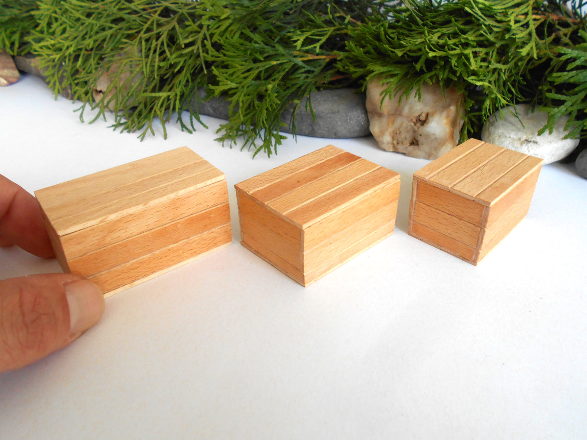 Three small rectangular wooden boxes with a striped grain pattern, displayed on a white surface with green foliage in the background. A hand is visible on the left holding one of the boxes.