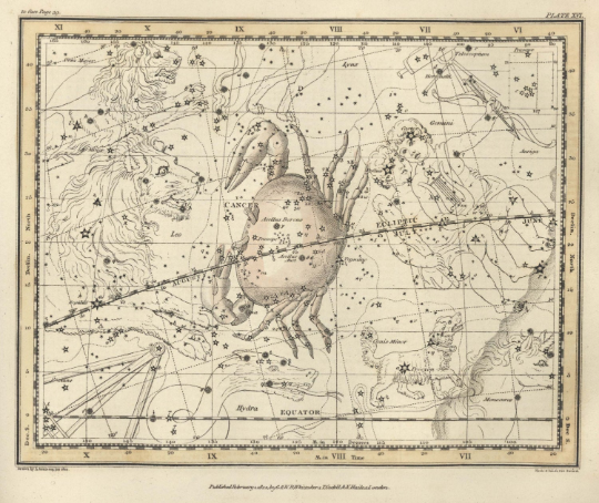 CANCER zodiac map print - Antique Star Map - Professional Reproduction of the Constellation CANCER- Wall Art Zodiac- Astrology Celestial Map