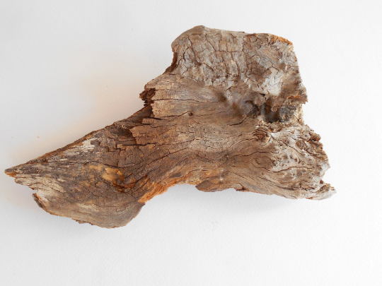 natural driftwood supplies for terrariums and aquariums
