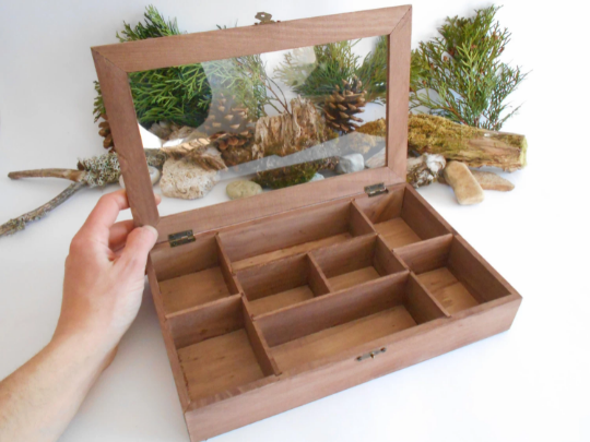 Wooden lid box with glass display- bamboo jewelry box- keepsake wood box- 8 compartments display box- storage box, herbs box