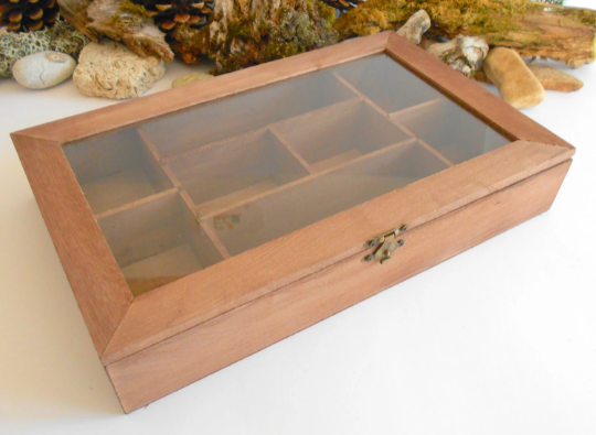 Wooden lid box with glass display- bamboo jewelry box- keepsake wood box- 8 compartments display box- storage box, herbs box
