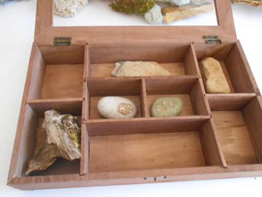 Wooden lid box with glass display- bamboo jewelry box- keepsake wood box- 8 compartments display box- storage box, herbs box