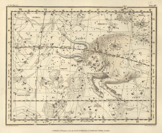 Taurus zodiac map print - Antique Star Map - Professional Reproduction of the Constellation Taurus- Wall Art Zodiac- Astrology Celestial Map