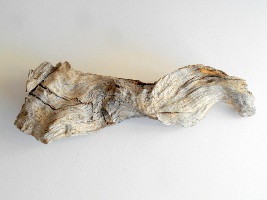Driftwood from pine tree- Unique wood piece -old rustic wood decor- wood supply- natural forest decoration- naturally twisted wood
