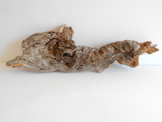 natural driftwood supplies for terrariums and aquariums