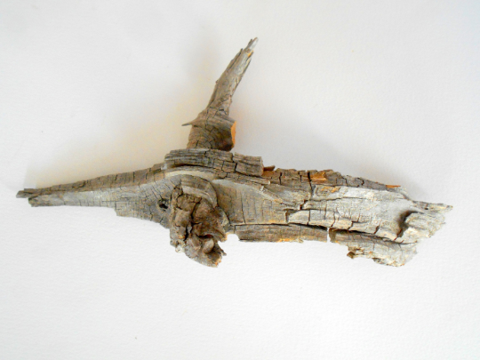 twisted driftwood from pine tree for terrariums decoration, natural wood from the forest