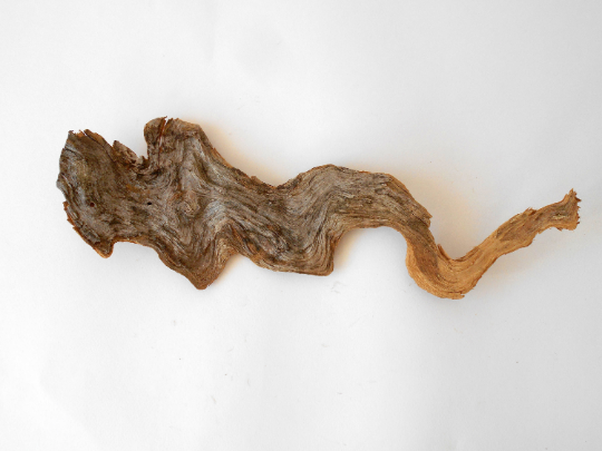 Driftwood from pine tree- rammified Unique wood piece -old rustic wood decor- wood supply- natural forest decoration- naturally twisted wood