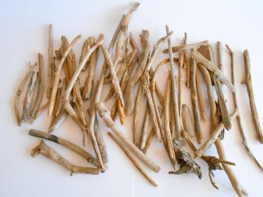 twisted driftwood from pine tree for terrariums decoration, natural cracked wood from the fores