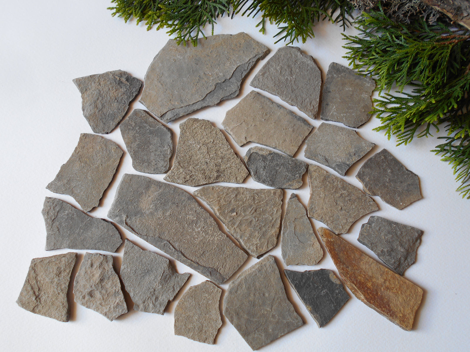 Fairy Garden Stones- set of 10 Flat Rocks- 1 to 5 inch ( 2.5 to 12.5 cm. )- Mountain stone plates- rock plates- Beach Stone Supplies- Terrarium supplie
