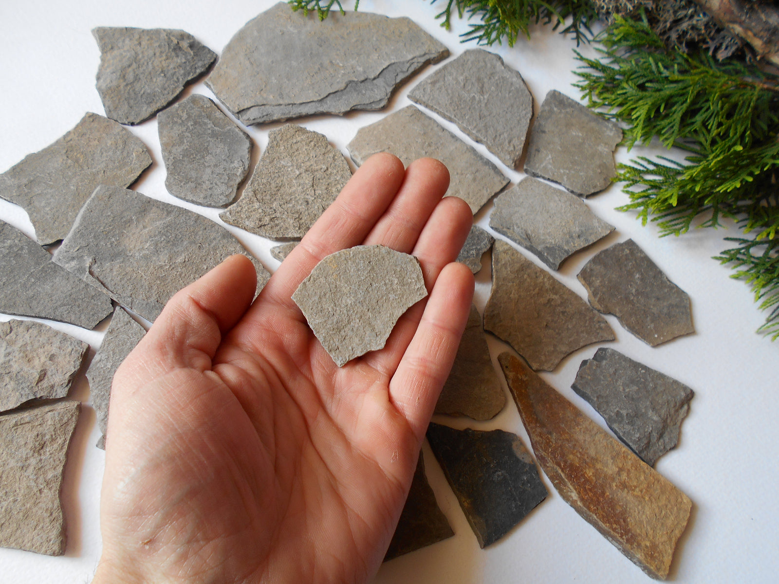 Fairy Garden Stones- set of 10 Flat Rocks- 1 to 5 inch ( 2.5 to 12.5 cm. )- Mountain stone plates- rock plates- Beach Stone Supplies- Terrarium supplie