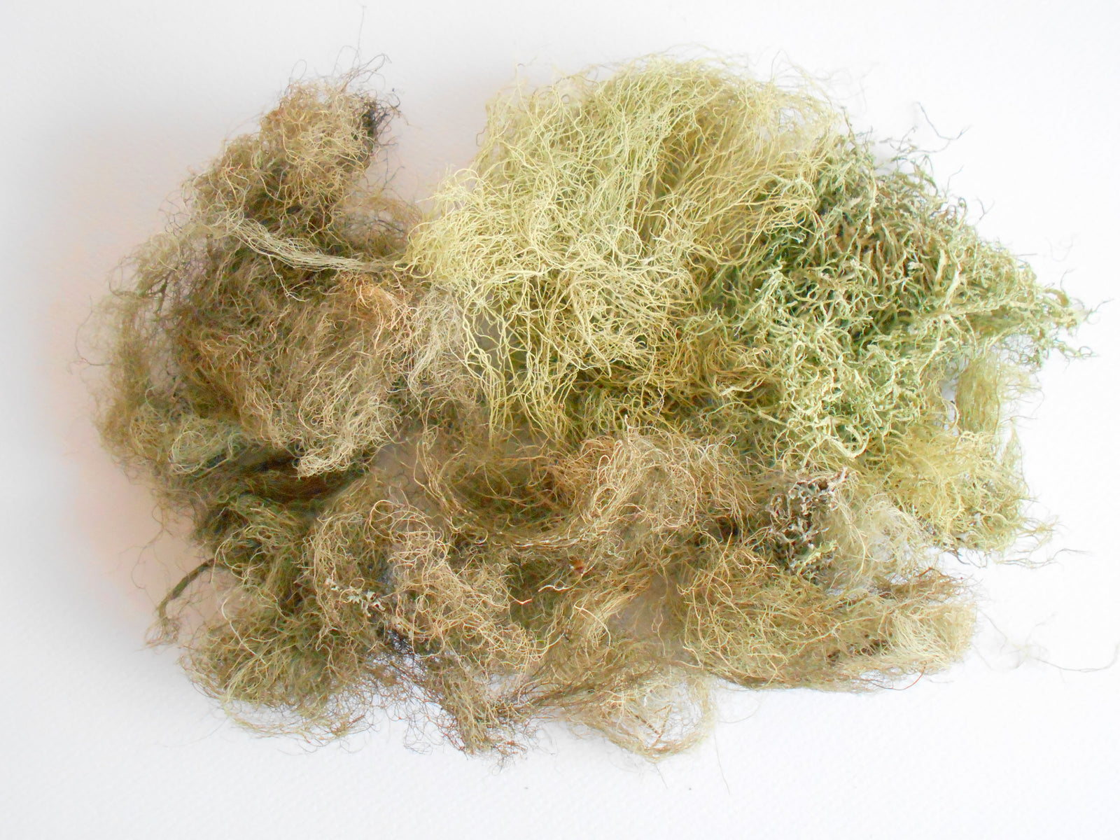 Dried lichen moss- Greenish dried tree lichen- decoration craft material- forest supplies- natural organic terrarium supplies- from Europe
