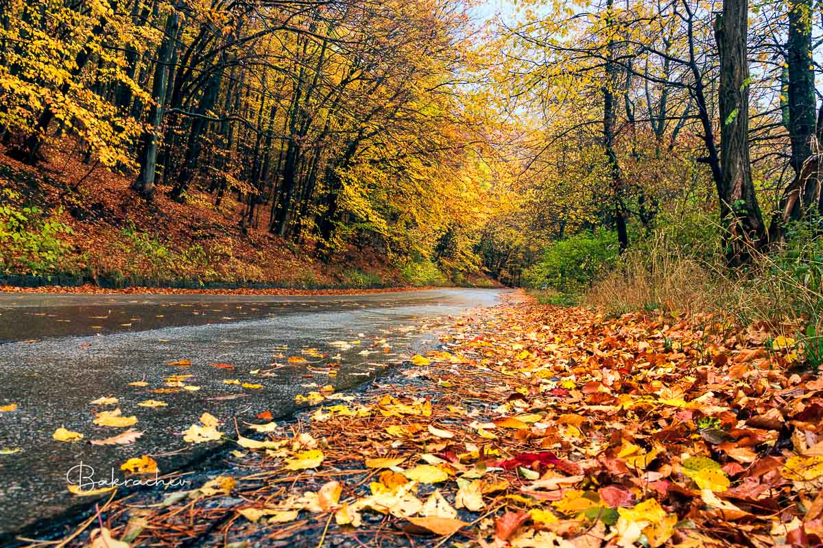 Wall decor photo art- View from the road to "The Hoof" in Vitosha mountain- Autumn photography wall art print- photo wall decor- Bulgarian photo print