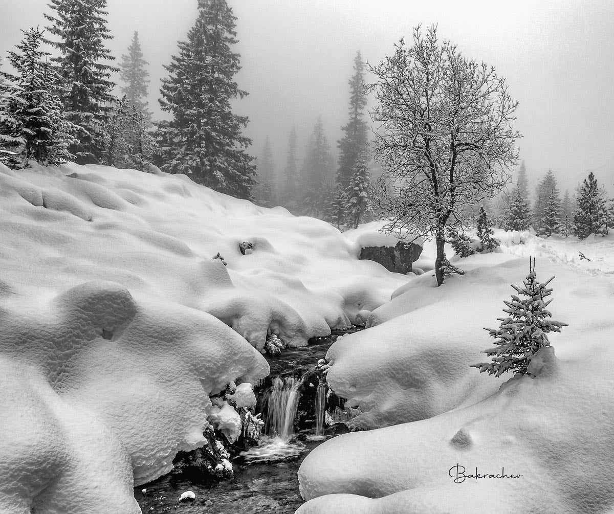 Wall decor photo art- a stream on the path to Malyovitsa peak in Rila Mountain- Winter photography wall art print- photo wall decor- Bulgarian photo print